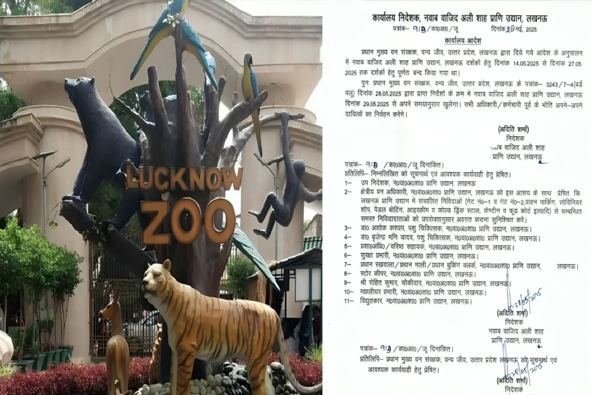 Good News: लखनऊ चिड़ियाघर आज से खुलेगा: गर्मी की छुट्टियों में बच्चों और
परिवारों के लिए बड़ी खुशखबरी